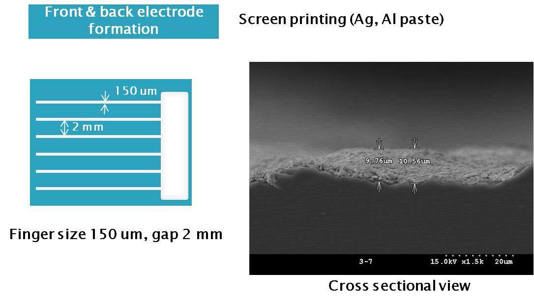Front electroded 형성 후 단면 SEM 사진.