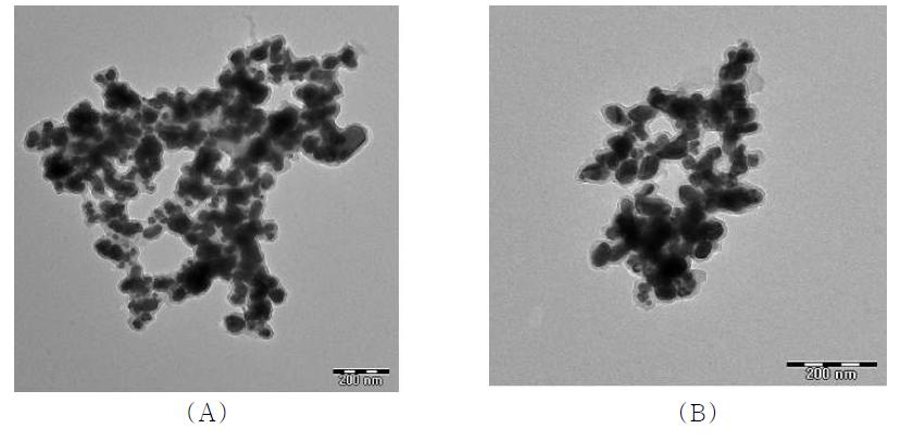 목련잎 추출물을 환원제로 이용한 은․구리 합금 나노입자의 목련잎 추출물 농도에 따른 TEM이미지. (A) 15% (B) 20%.