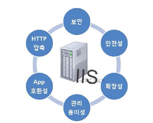 그림 8 IIS의 특징