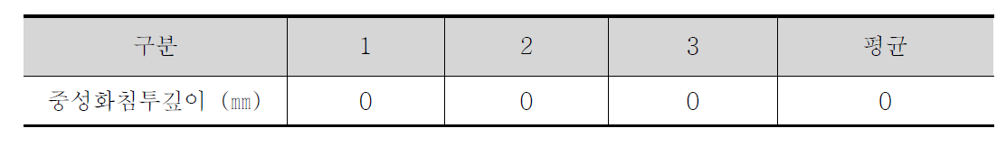 중성화 깊이 시험 결과