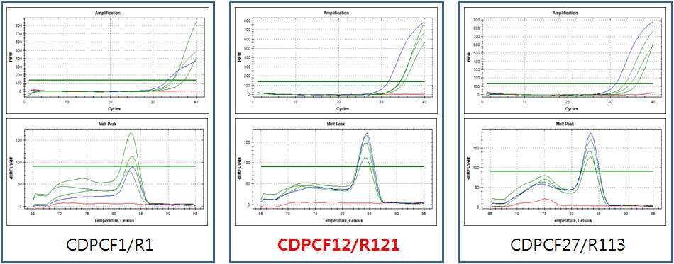 Selection of primer set among primer sets designed from pyrubate carboxylase gene for SYBR Green I PCR.