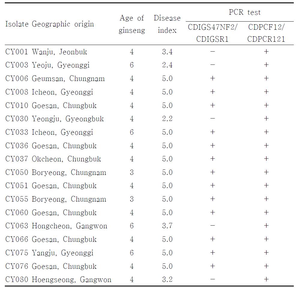 A list of isolates of Cylindrocarpon destructans used in this study