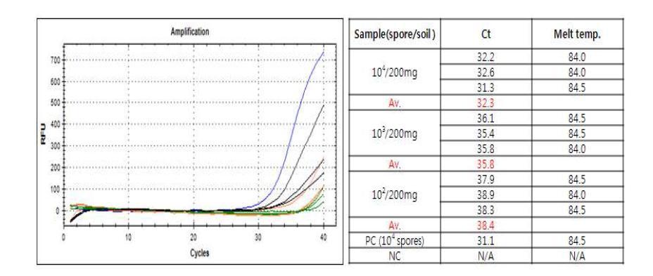 Sensitivity of SYBR Green I PCR against spore/soil mixture DNAs obtained by new DNA extraction method with primer set CDPCF12/CDPCR121.