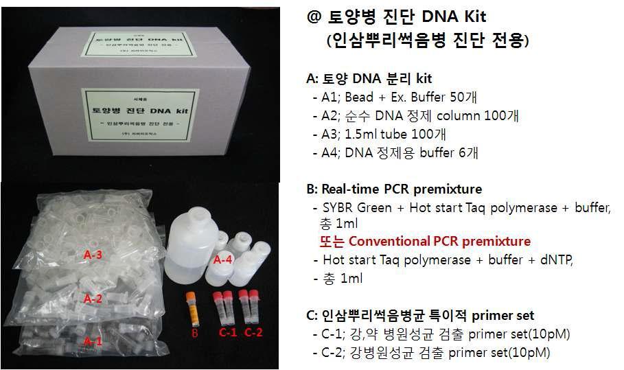 DNA kit for diagnosis of Ginseng root rot disease concluding soil DNA isolation kit, SYBR Green I real-time PCR premixture and species-specific primer sets for Cylindrocarpon destructans