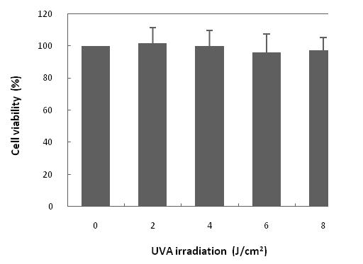 HDF-N 세포에 대한 자외선 (UVA)의 세포독성