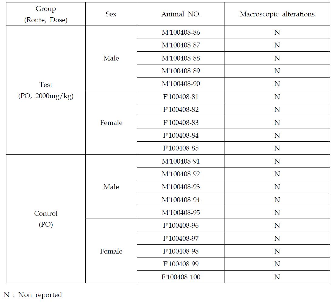 Macroscopic Findings