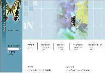 한국의 곤충(http://www.insects.or.kr)