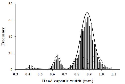 Frequency distributions of head capsule widths fit with normal distribution (dotted line) of Plodia interpunctella under corridor conditions