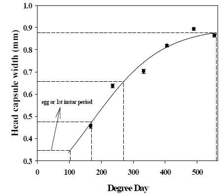 Degree day-dependent development of head capsule width of Plodia interpunctella under lab condition.