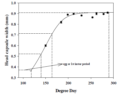 Degree day-dependent development of head capsule width of Plodia interpunctella under corridor condition.