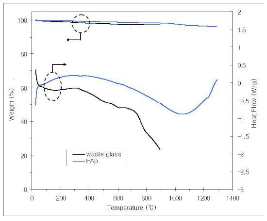 폐유리와 HAp의 TG-DSC 결과