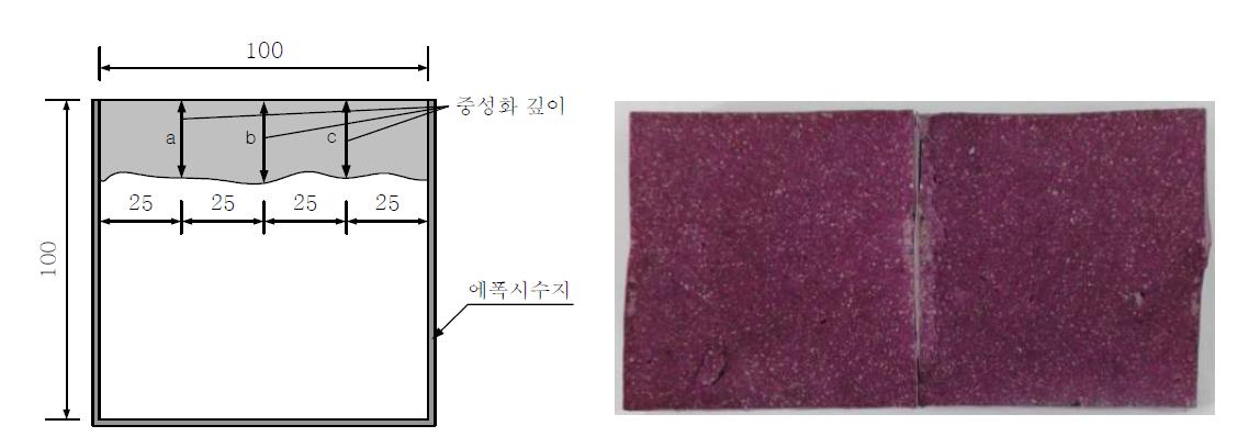 중성화 깊이 측정