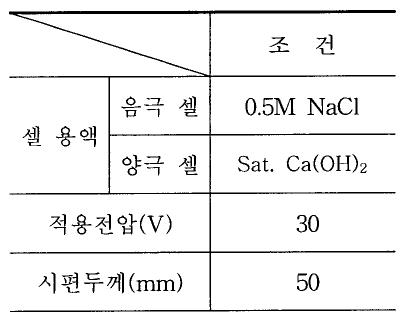 시험 조건