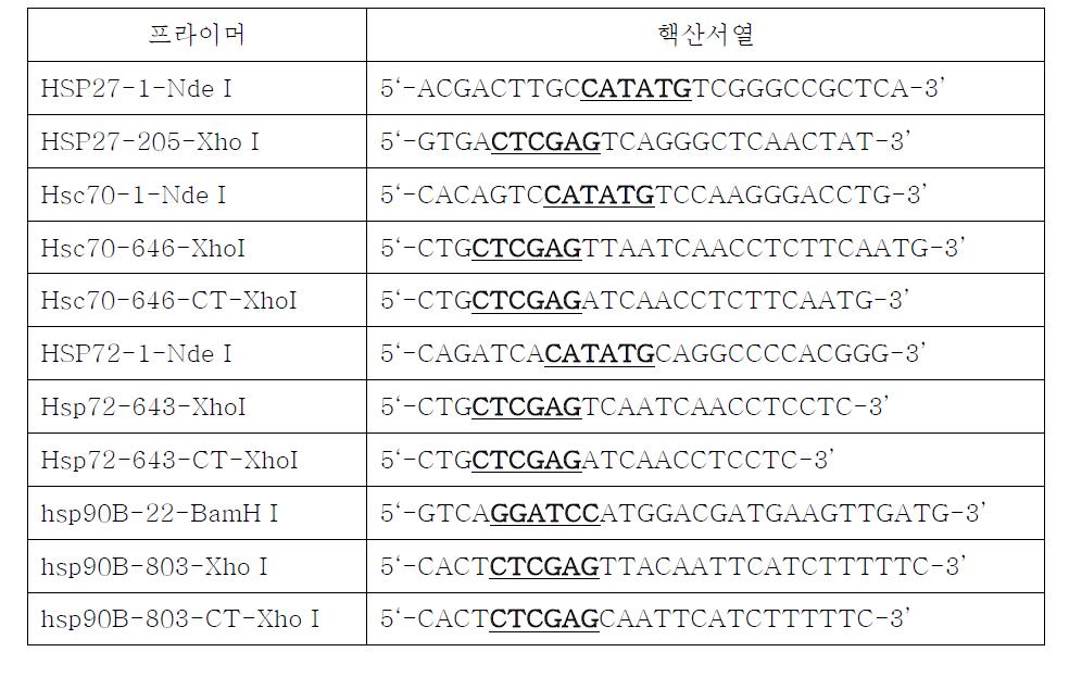 HSP27, HSC70, HSP72, HSP90 제조를 위해 사용된 프라이머