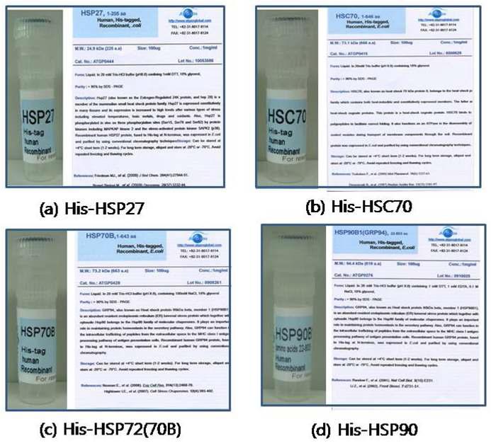 상업화된 4종의 열충격 단백질 vial과 제품안내서. (a) His-HSP27 (b) His-HSC70 (c) His-HSP72 (d) His-HSP90