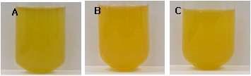 bran oil picture from n-hexane extracts