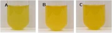 Oryzanol picture from bran oil extracts