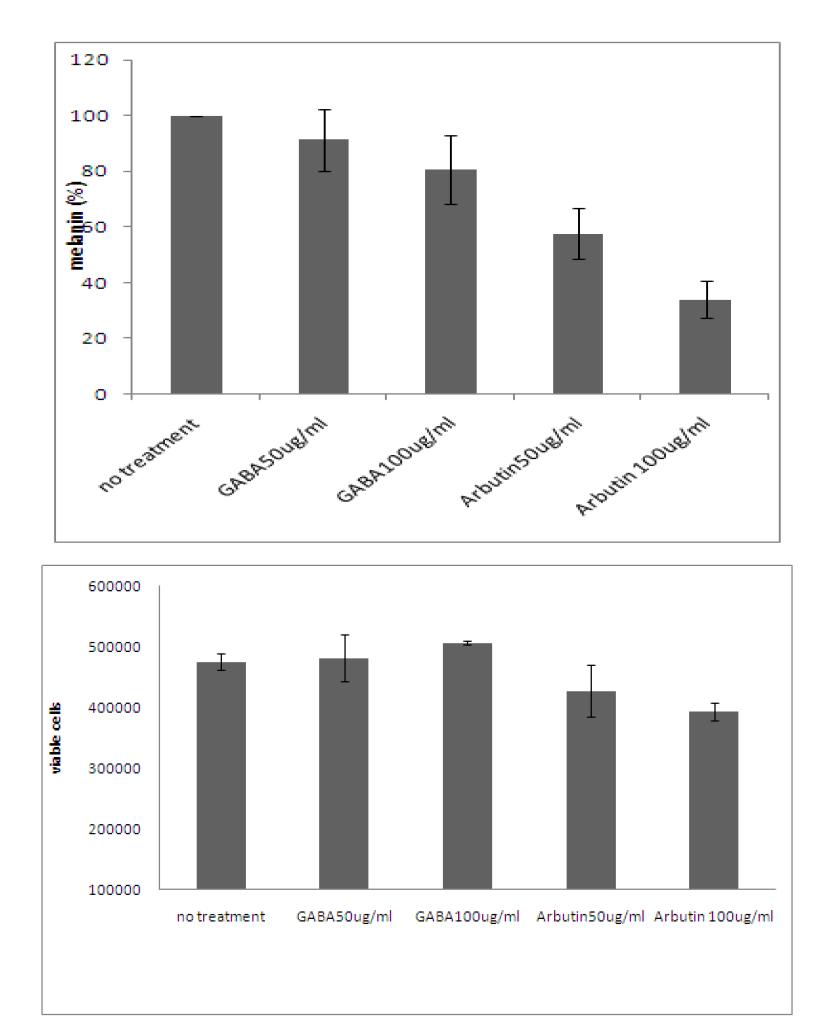 inhibitory effect of GABA on cell viability and melanin in B16F10 melanocytes