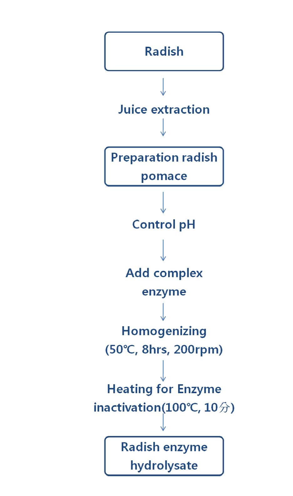 Radish enzyme hydrolysate preparation scheme.