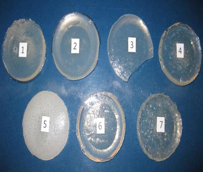 Appearance of the agar mixed gels