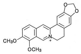 Structure of Berberine