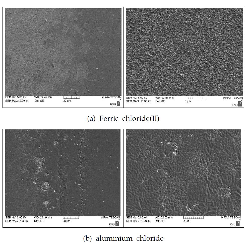 SEM analysis of contact lens treated mordant to Gardenia Jasminoides