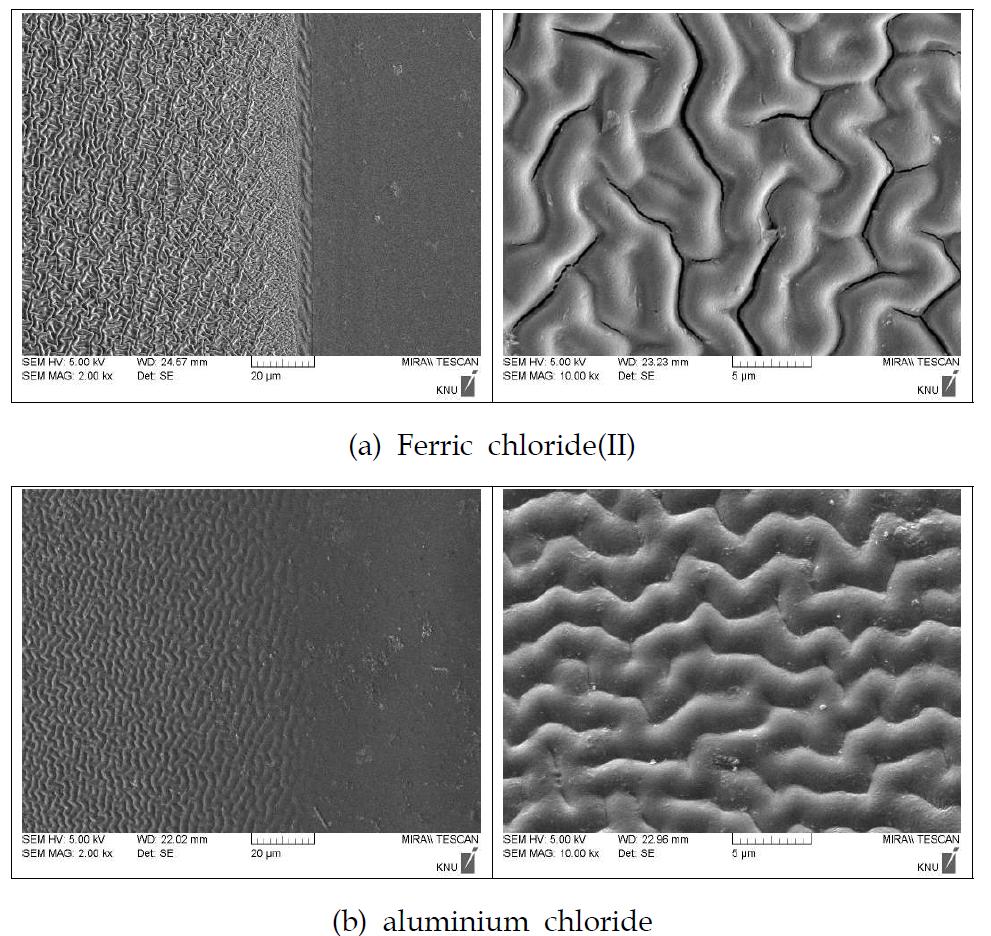 SEM analysis of contact lens treated mordant to Sophorae Flos