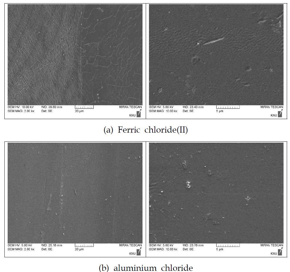 SEM analysis of contact lens treated mordant to Rhus Chinensis