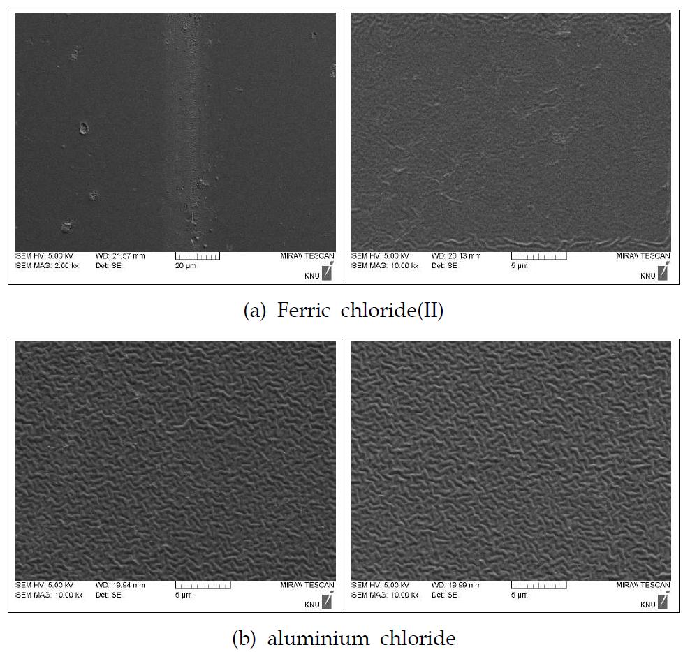 SEM analysis of contact lens treated mordant to Gromwell