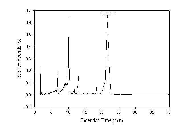 HPLC profile of Amur cork tree extract by methanol.