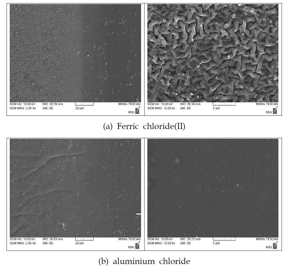 SEM analysis of contact lens treated mordant to Amur Cork Tree