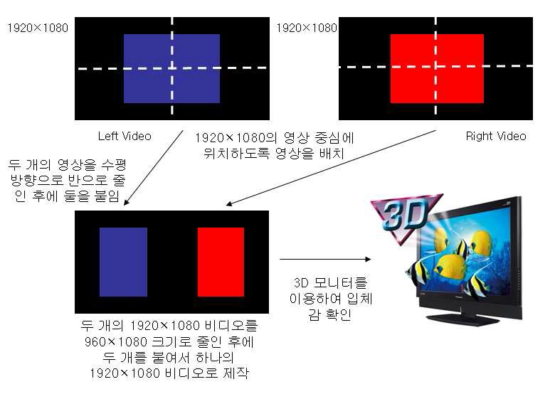 3D LCD를 이용한 동영상 콘텐츠의 검증