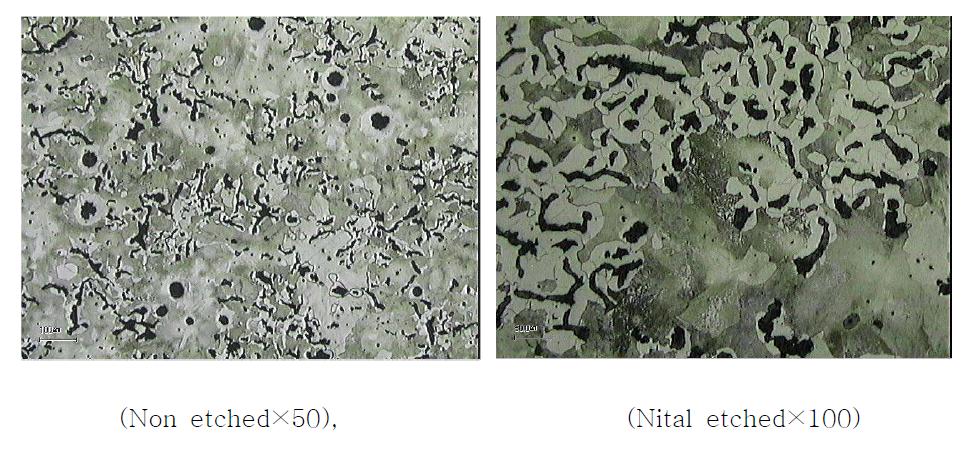 Microstructure of FCV Cast Material