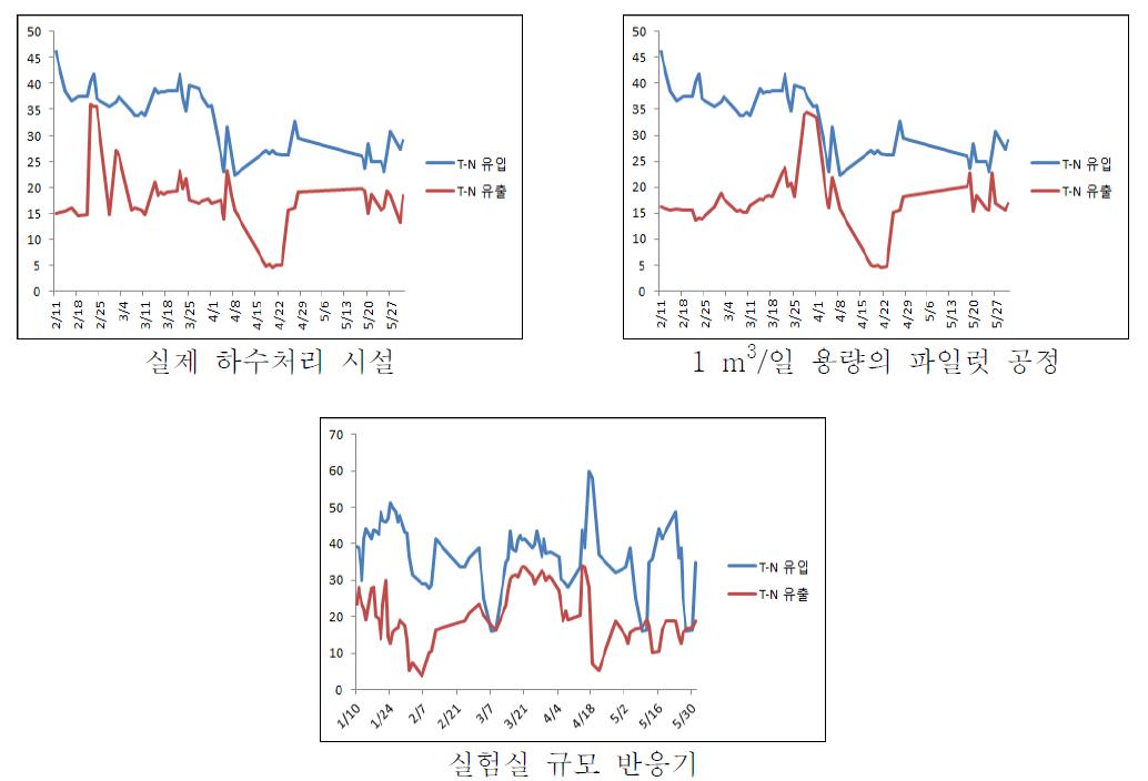 T-N 분석 결과