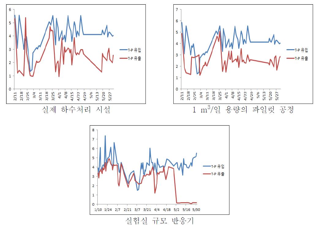 T-P 분석 결과