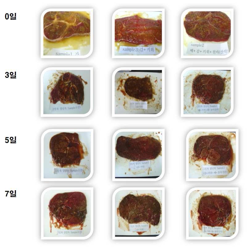양념 육제품의 숙성과정 변화