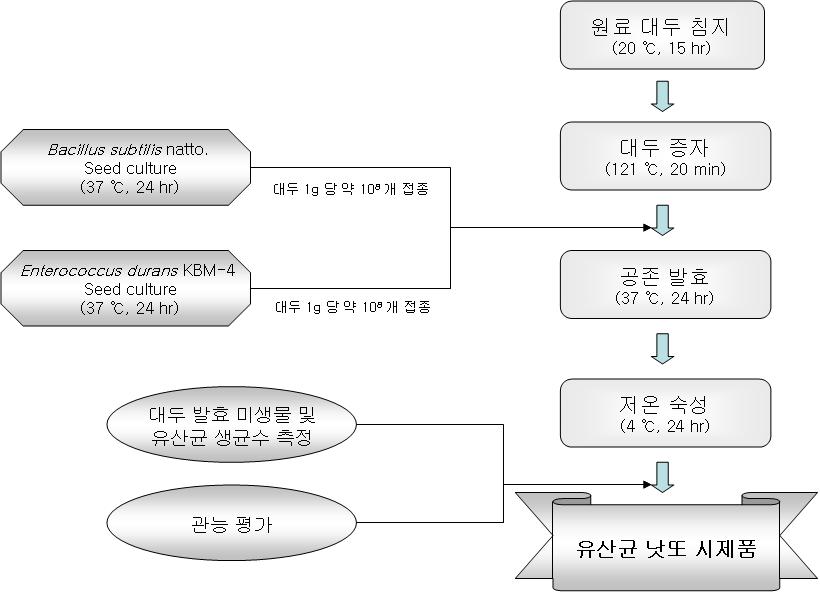 대두 공존발효 시제품의 개발 공정도