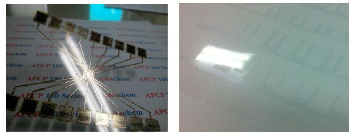 RFID 태그용 금속 잉크(알파캠)와 자체 개발한 투명 프린팅 패턴