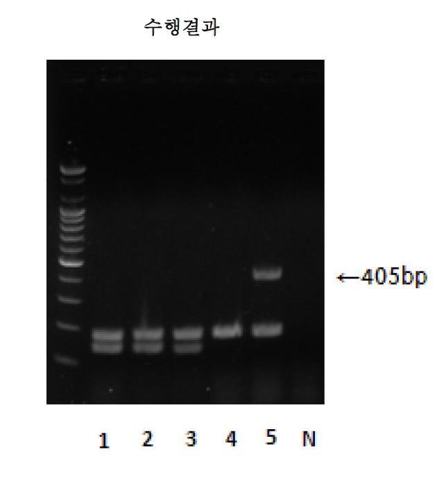 Detection of microbial pesticide isolates by multiplex PCR.