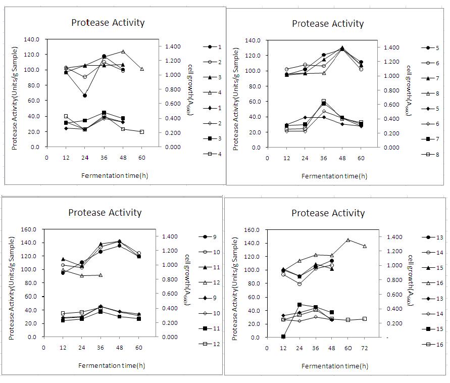 Protease activity and cell growth of isolated strains.