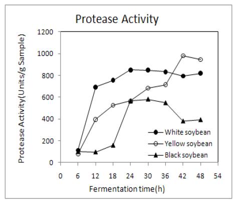 Changes in protease activity of germinated soybean Chungkookjang during fermentation at 35℃.