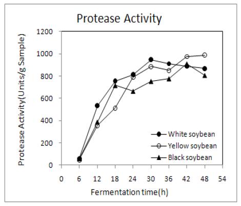 Changes in protease activity of germinated soybean Chungkookjang during fermentation at 40℃.