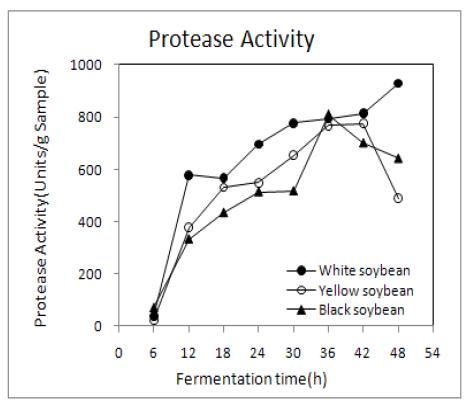 Changes in protease activity of germinated soybean Chungkookjang during fermentation at 45℃.