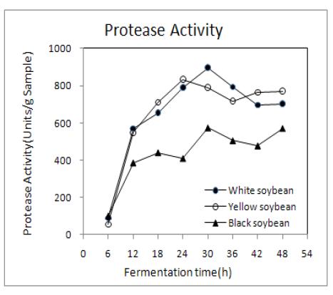 Changes in protease activity of non-germinated soybean Chungkookjang during fermentation at 35℃.