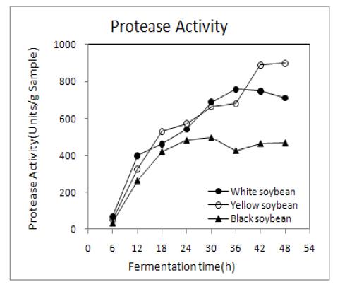 Changes in protease activities of non-germinated soybean Chungkookjang during fermentation at 40℃.