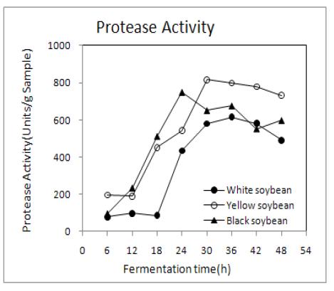 Changes in protease activities of non-germinated soybean Chungkookjang during fermentation at 45℃.