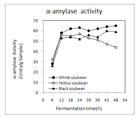 Changes in α-amylase activity of non-germinated soybean Chungkookjang during fermentation at 45℃.