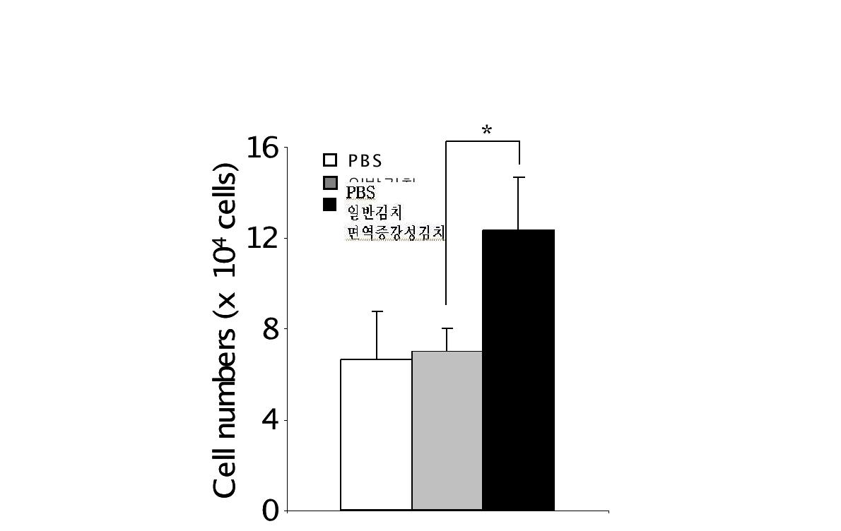 김치추출물이 마우스 비장세포 증식에 미치는 영향