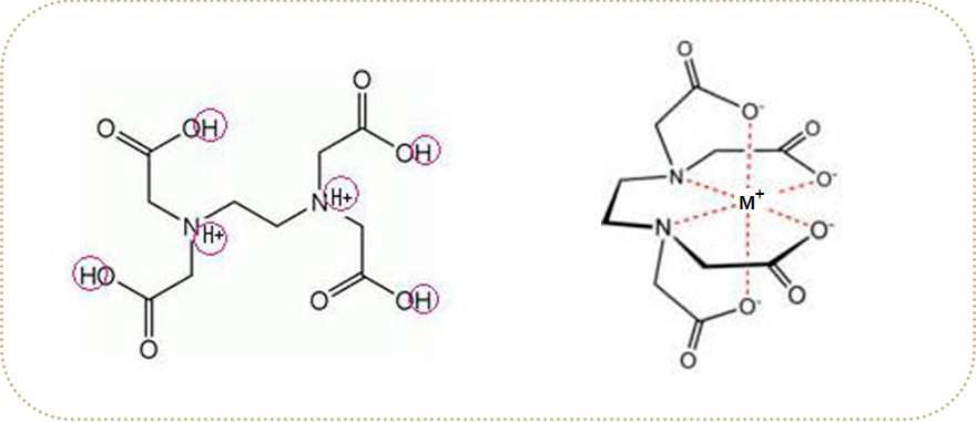 Structure of metal-EDTA complex