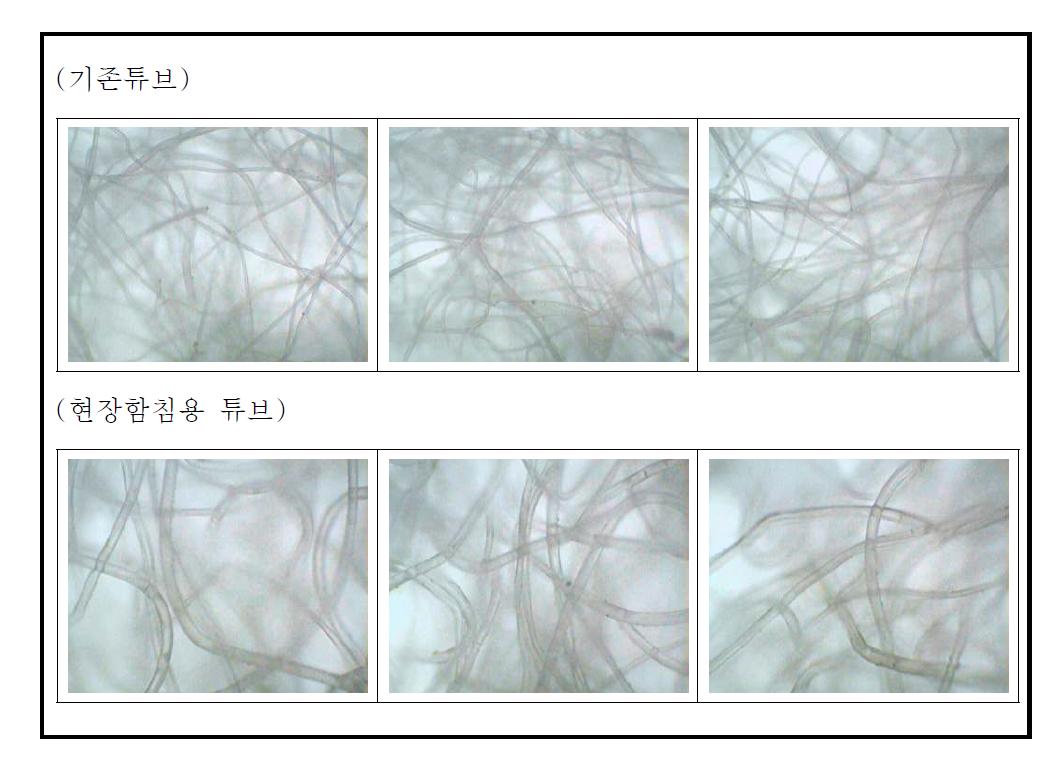 튜브의 현미경사진